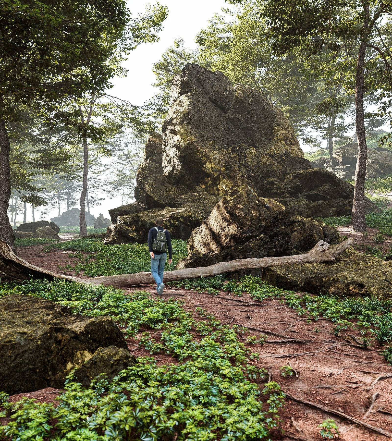 Walk in the Forest